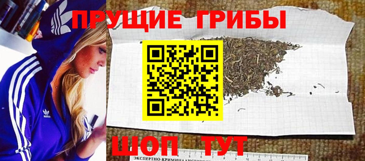 Псилоцибиновые грибы MAGIC MUSHROOMS Амурск